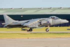 Harrier GR7 - Royal Air Force (RRR/RR)